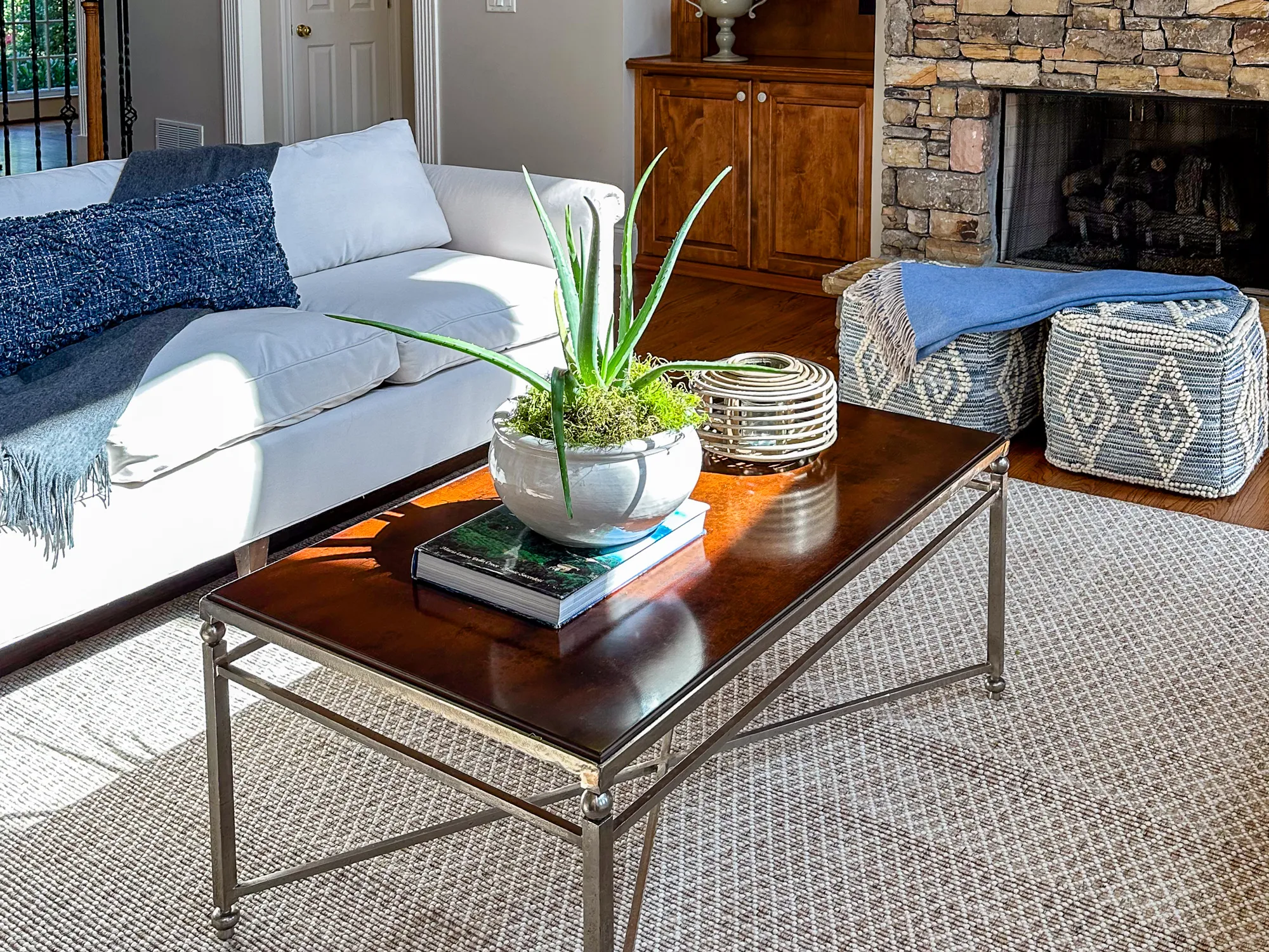A dark wood coffee table with an aloe plant in front of a white sofa